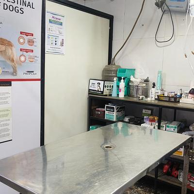 Pet Works : Pet Clinic | Pet vaccination | Pet Food | Sector 52 Gurgaon