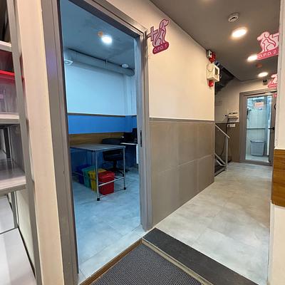 Vetic Pet Clinic Sec-82A Gurgaon