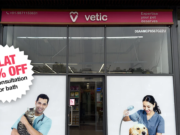 Vetic Pet Clinic Sec-82A Gurgaon