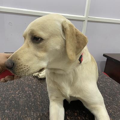 Max Pet Care - “Where happy pets and Healthy Lives Begin!”