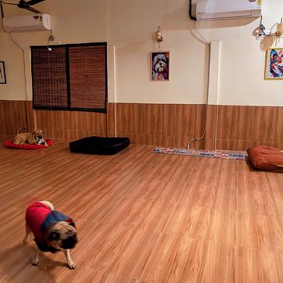 Petzovia - Pet Boarding & Park