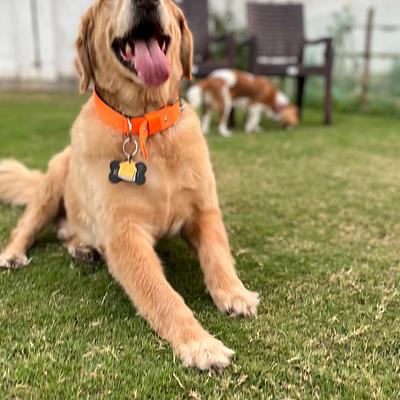 Bark & Spark Pet Boarding