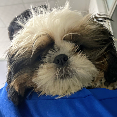 Max Pet Care - “Where happy pets and Healthy Lives Begin!”