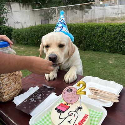 Bark & Spark Pet Boarding