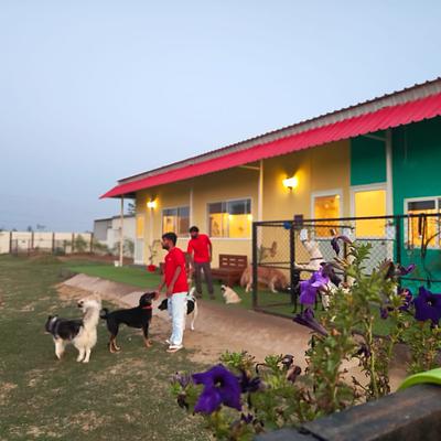 Petzovia - Pet Boarding & Park