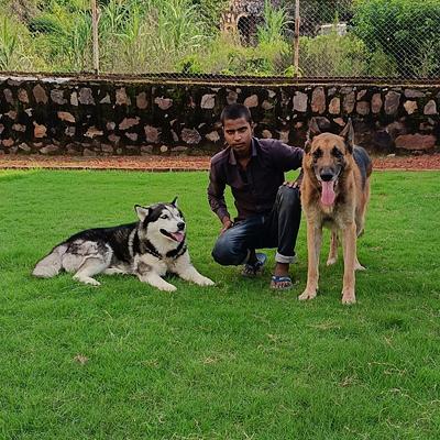 PawStay Pet Boarding Gurgaon