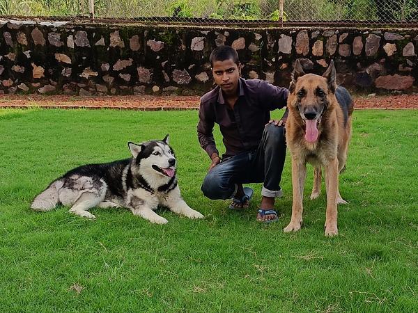 PawStay Pet Boarding Gurgaon