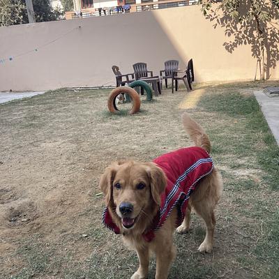 Bark ‘N Stay