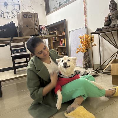 Barkplay Pet boarding Gurgaon