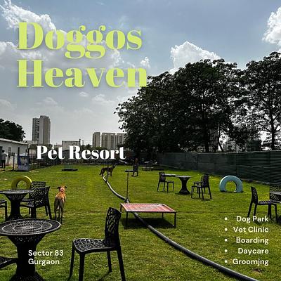 Doggos Heaven