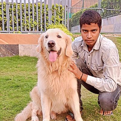 Aravali Kennel Zone - Dog Hostel, kennel & creche |Dog Cremation Gurugram | Pet Burial In Gurgaon