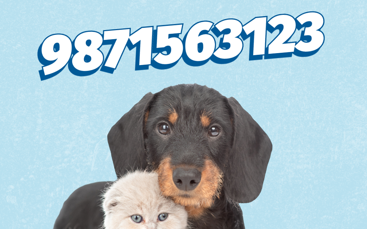 Sumit Pet’s Boarding and Daycare