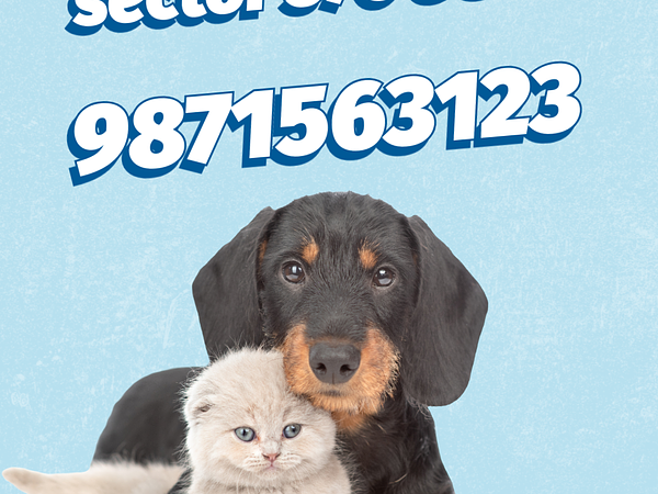 Sumit Pet’s Boarding and Daycare