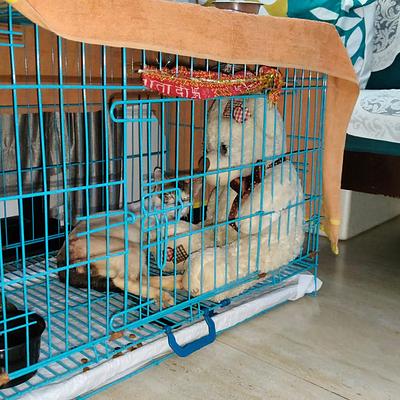 Cherry's Pet Boarding & Day Care