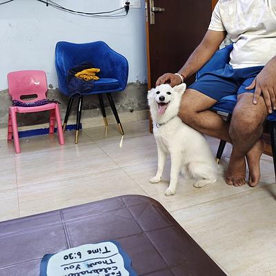 Cherry's Pet Boarding & Day Care