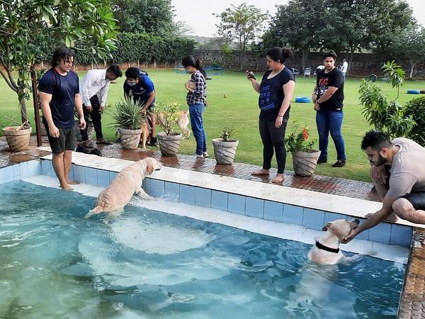 Pet Lovers Hut - Pet Resort GURUGRAM