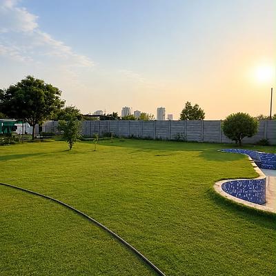 Barking Lot Pet Resort