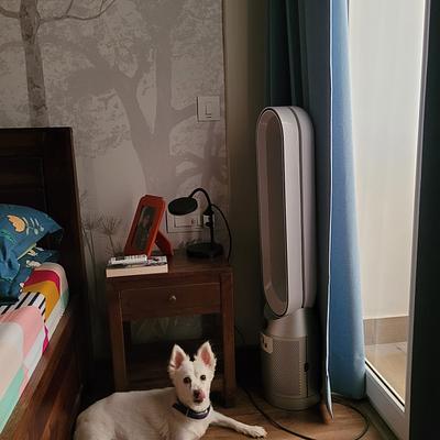 TAIL MAGIC