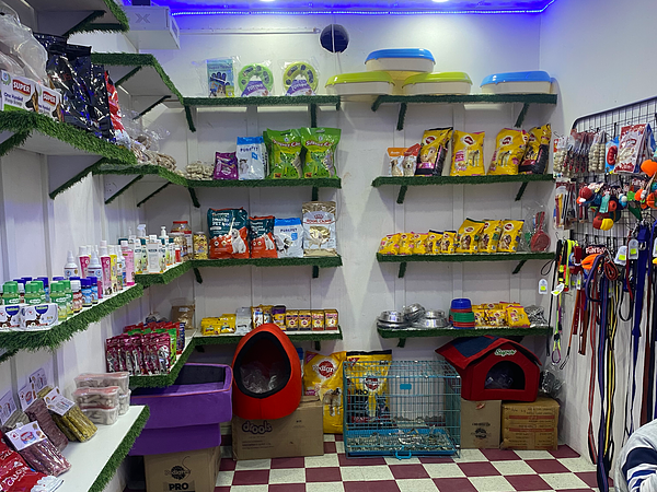 BALAJI DOG KENNEL GURGAON & PET SHOP