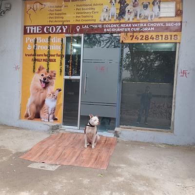 The cozy pet boarding