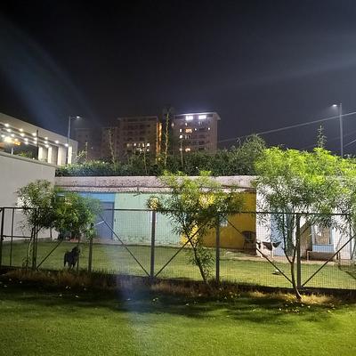 Vatika Pet Clinic & Resort