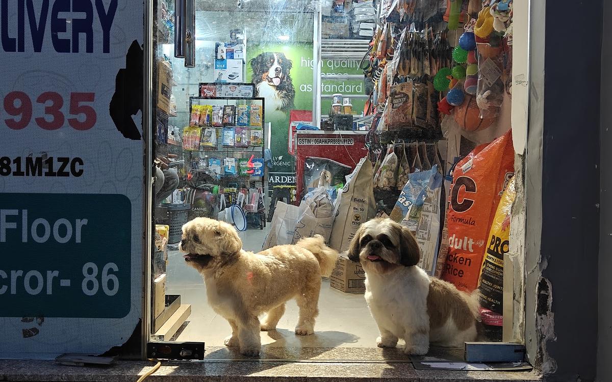 Pet Gallery - One Stop Pet Shop
