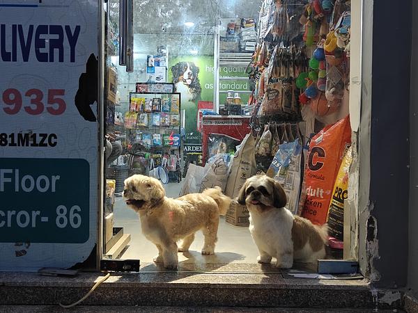 Pet Gallery - One Stop Pet Shop