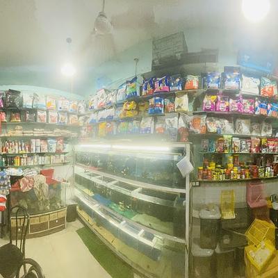 Pari Pets & Aquarium - Pet Shop in Sector 9, Gurgaon