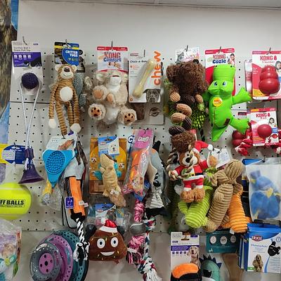 Pet Gallery - One Stop Pet Shop