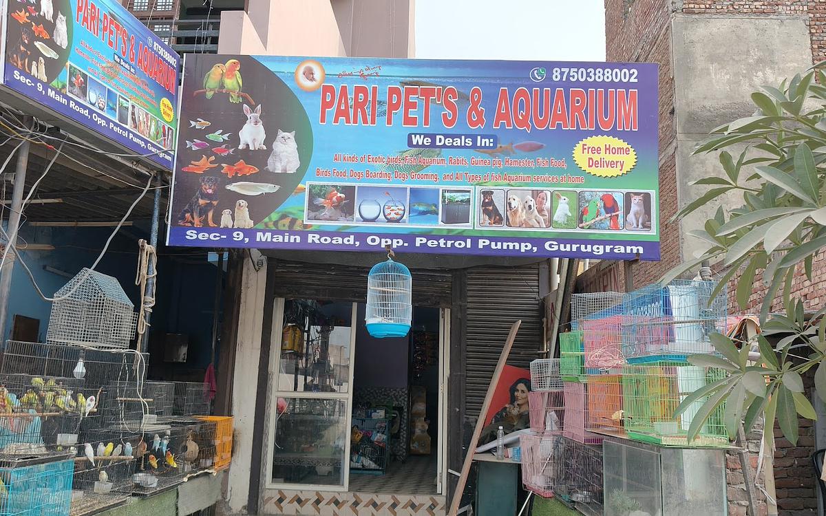 Pari Pets & Aquarium - Pet Shop in Sector 9, Gurgaon
