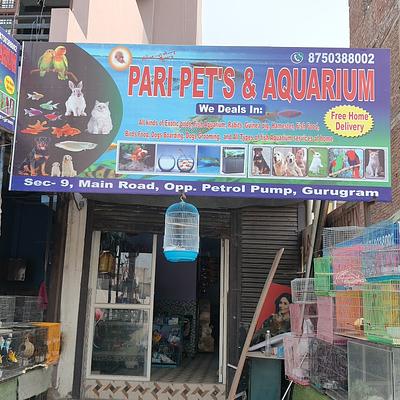 Pari Pets & Aquarium - Pet Shop in Sector 9, Gurgaon