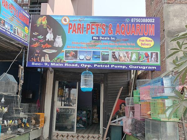 Pari Pets & Aquarium - Pet Shop in Sector 9, Gurgaon