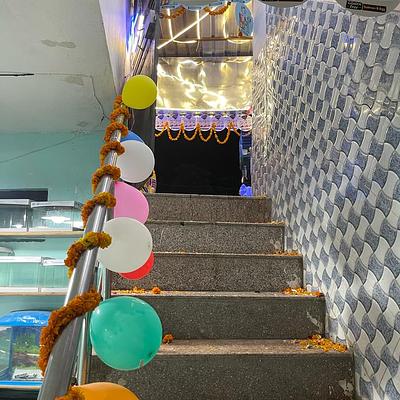Pari Pets & Aquarium - Pet Shop in Sector 9, Gurgaon