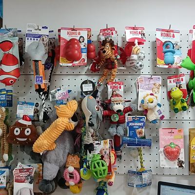 Pet Gallery - One Stop Pet Shop