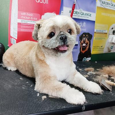 Pet Gallery - One Stop Pet Shop
