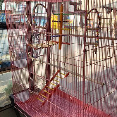 Pari Pets & Aquarium - Pet Shop in Sector 9, Gurgaon