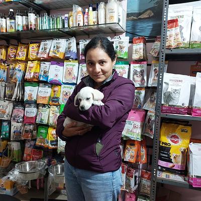 Forest Pet Store