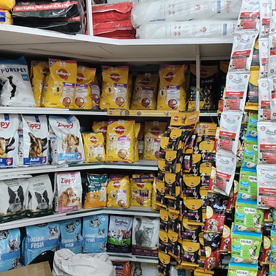Kapoor Fish Point | Pet Shop Near Me | Pet Food Shop Near Me | Fish Aquarium Shop Near Me | Dog | Cat | Bird