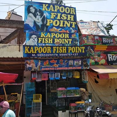 Kapoor Fish Point | Pet Shop Near Me | Pet Food Shop Near Me | Fish Aquarium Shop Near Me | Dog | Cat | Bird