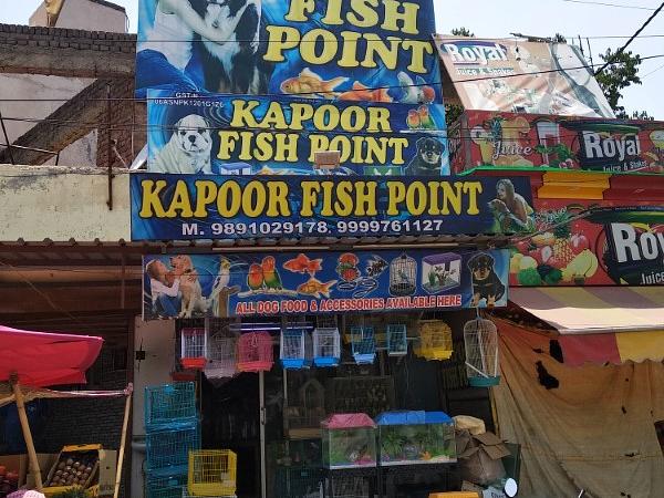 Kapoor Fish Point | Pet Shop Near Me | Pet Food Shop Near Me | Fish Aquarium Shop Near Me | Dog | Cat | Bird