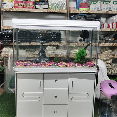 Kapoor Fish Point | Pet Shop Near Me | Pet Food Shop Near Me | Fish Aquarium Shop Near Me | Dog | Cat | Bird