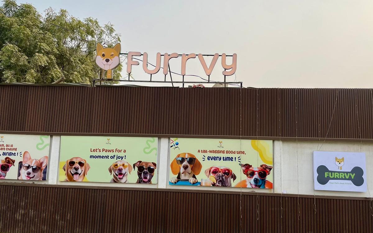 Furrvy - Pet Boarding, Daycare & Grooming | Sector 58, Gurugram
