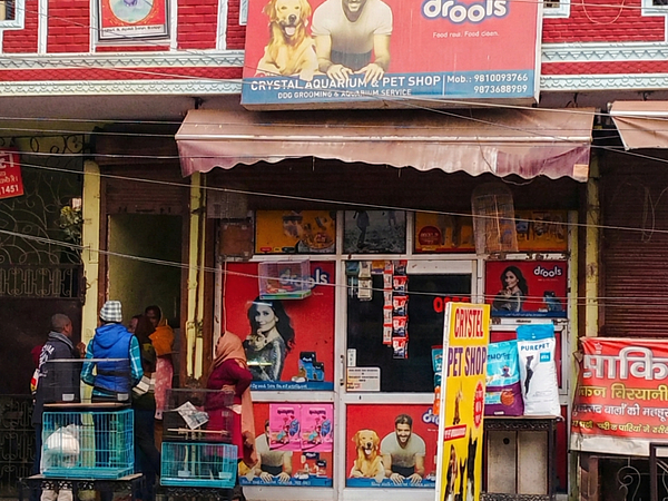 Crystal Aquarium & Pet Shop