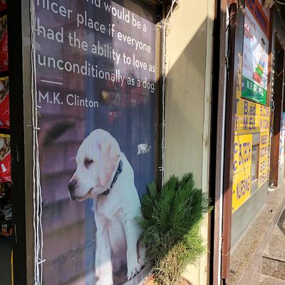 PET FOOD N MORE
