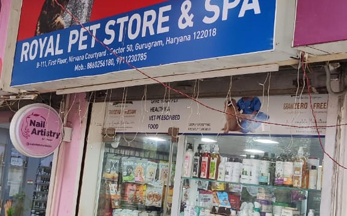 ROYAL PET STORE & SPA l Pet Shop in Gurgaon