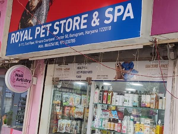 ROYAL PET STORE & SPA l Pet Shop in Gurgaon