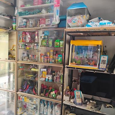 Crystal Aquarium & Pet Shop