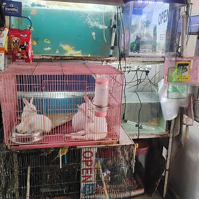 Crystal Aquarium & Pet Shop
