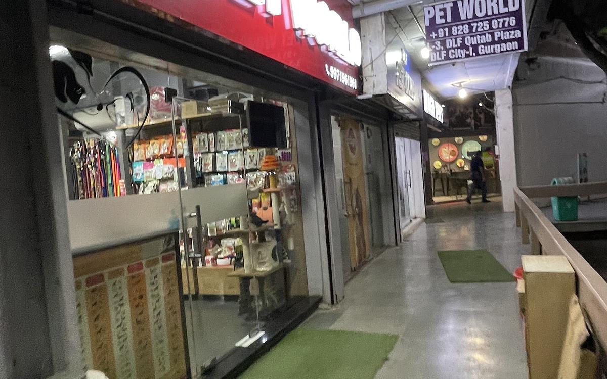 Pet World