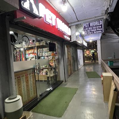 Pet World